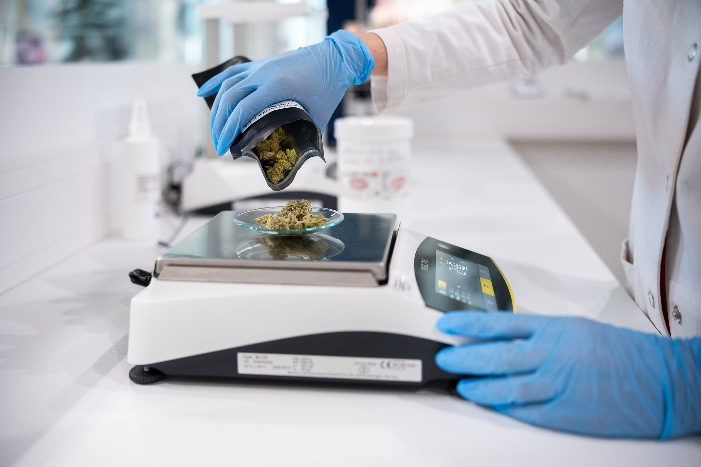 Medizinal-Cannabis